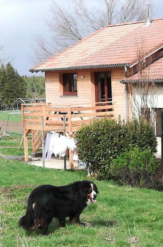 Gîte la ferme de Baffour La Chaise-Dieu Exterior foto